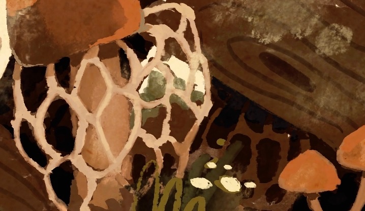 illustration of a forest floor and mushroom 