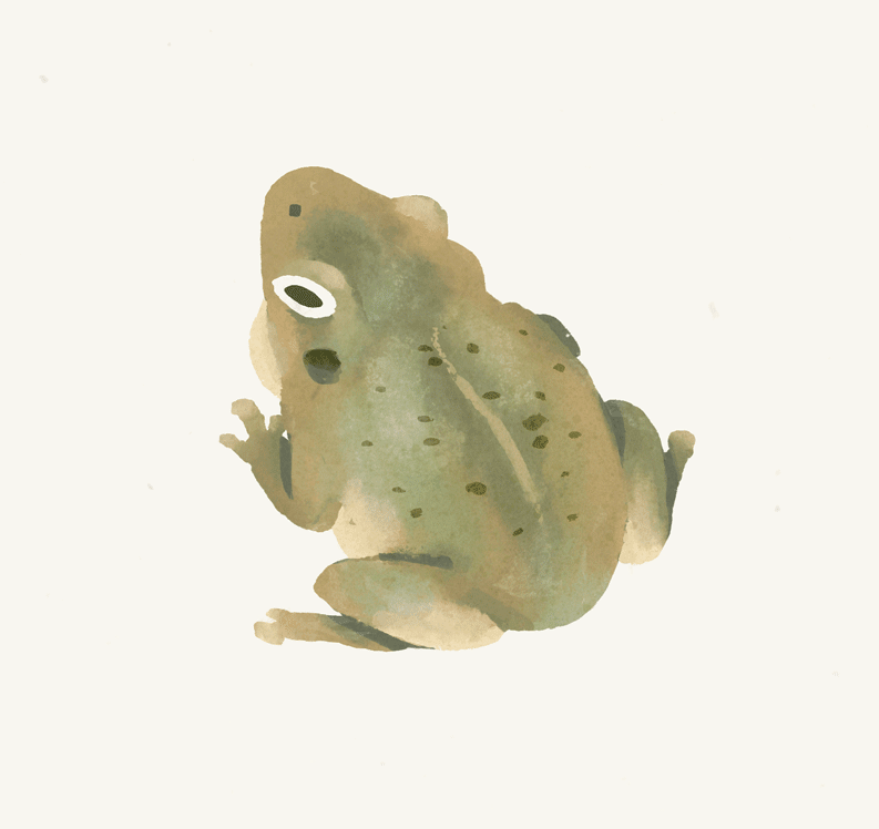 illustrated GIF of a green frog croaking
